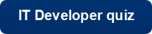 IT Developer